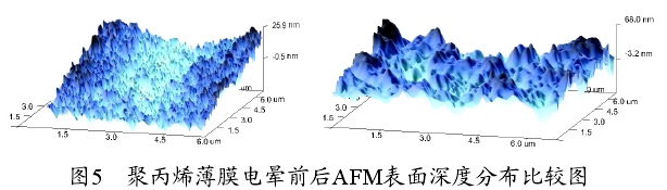 聚丙烯薄膜电晕处理前后 AFM 表面深度分布比较图